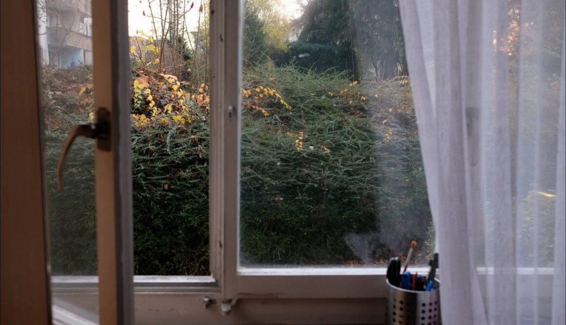 AusmeinemFenster201121s